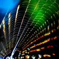 Spiderweb reflecting light by Thomas Leth-Olsen