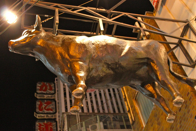 the golden calf