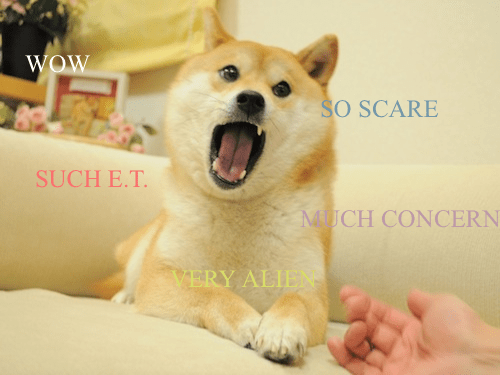 Alien Doge