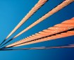 Bridge Cables