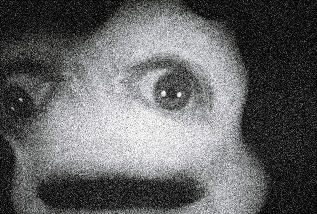 What? I don't see anything...