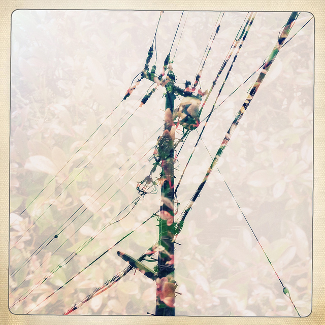 telegraph pole