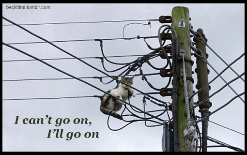 I can't go on. I'll go on.