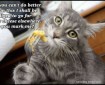 Cheese Kitten speaks