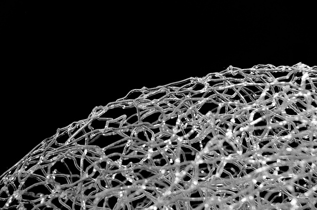 Woven Heaven, Tangled Earth detail