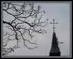 Branching Out by Fr Lawrence Lew, O.P.