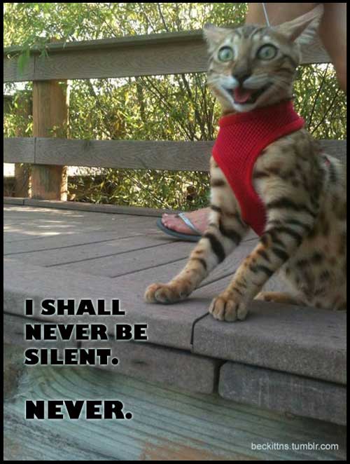 I never shall be silent