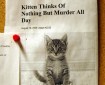 murder kitten
