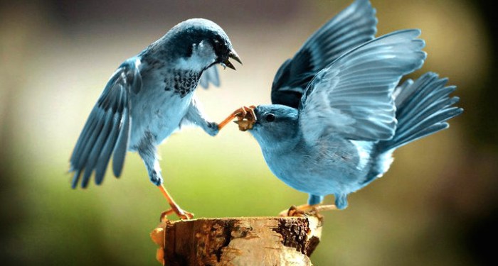 Twitter some days. I tell ya.