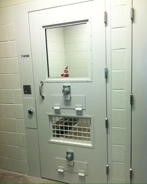 Elf In Custody