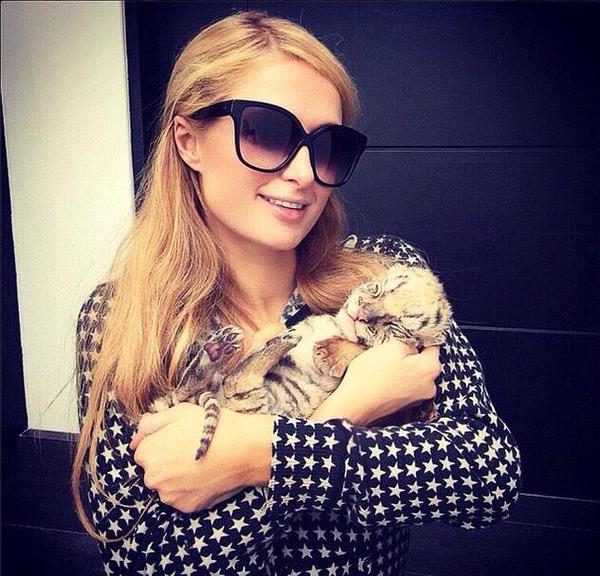Paris Hilton and Tiger Cub