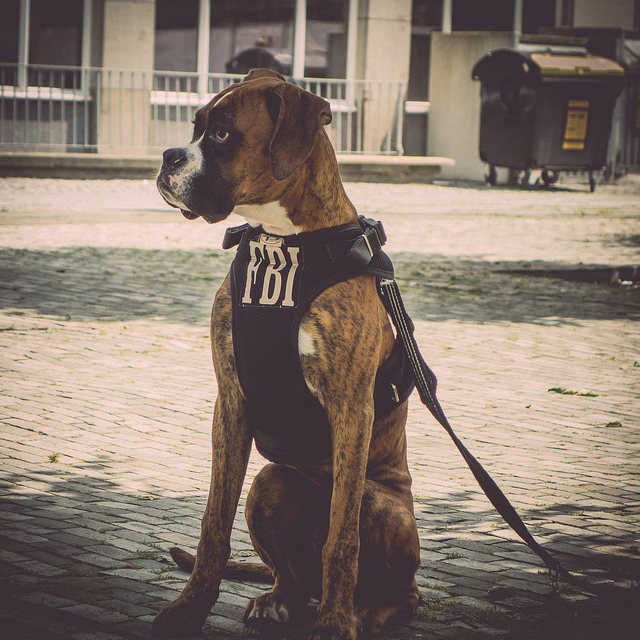 FBI by psistrm on Flickr