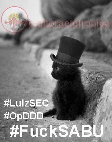 LulzKitteh does not approve! via Trinity Fawkes on Twitter