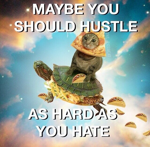 Haters you should hustle