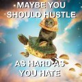 Haters you should hustle