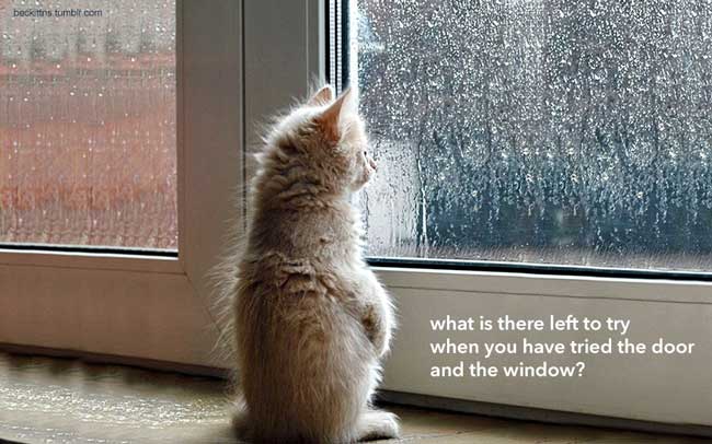 what is there left to try when you have tried the door and the window by Beckittns on Tumblr