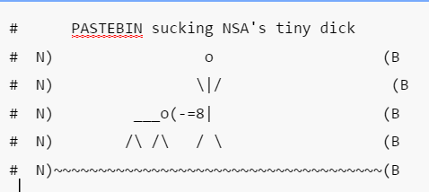 Pastebin and the NSA