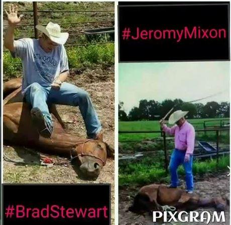 ShowUsTheHorse photo of Brad Stewart via Twitter