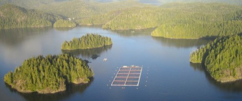n-TOFINO-CERMAQ-SALMON-FARM-large570