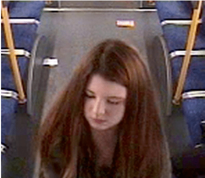 Yo dawg I heard you like kittehs