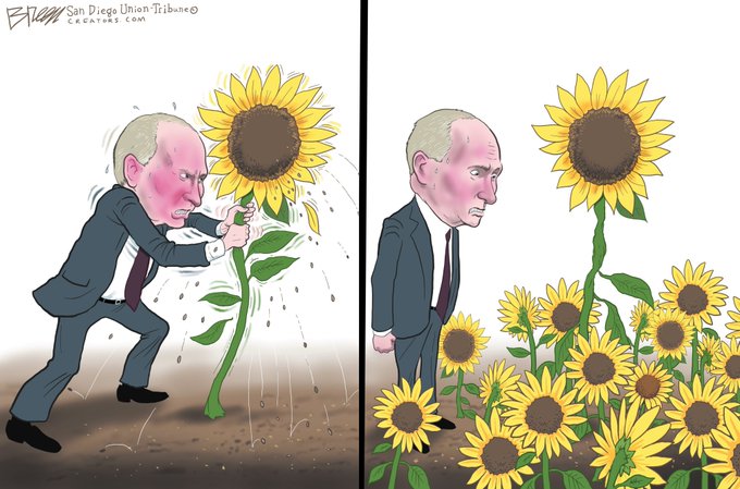 Putin vs Sunflower