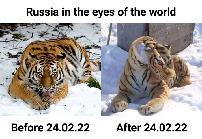 sic transit gloria Russi